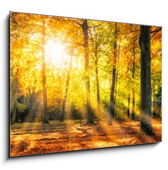 Sklenn obraz 1D - 100 x 70 cm F_E169049384 - Buntes Herbstwald Panorama im Sonnenlicht - Panorama Buntes Herbstwald im Sonnenlicht