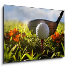 Obraz 1D - 100 x 70 cm F_E16911245 - Golf club and ball in grass