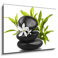 Obraz   Spa still life on white background, 100 x 70 cm