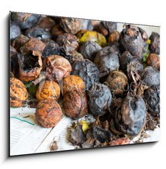 Obraz 1D - 100 x 70 cm F_E171137304 - walnuts immediately after harvesting before cleaning