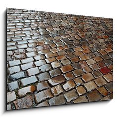 Obraz 1D - 100 x 70 cm F_E176627639 - Wet Stone Pavement