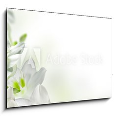 Obraz 1D - 100 x 70 cm F_E17740159 - flowers