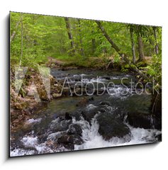 Sklenn obraz 1D - 100 x 70 cm F_E182860867 - Whitewater Stream