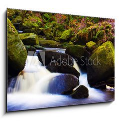 Sklenn obraz 1D - 100 x 70 cm F_E19178751 - flowing stream - tekouc proud