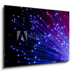 Sklenn obraz 1D - 100 x 70 cm F_E19500581 - multi colored optic fibers