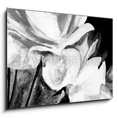 Obraz 1D - 100 x 70 cm F_E197308949 - lbild: Weie Rosen
