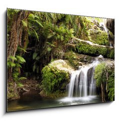 Sklenn obraz 1D - 100 x 70 cm F_E19824757 - Rainforest waterfall