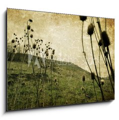 Sklenn obraz 1D - 100 x 70 cm F_E20013462 - Vintage nature - Klasick povaha