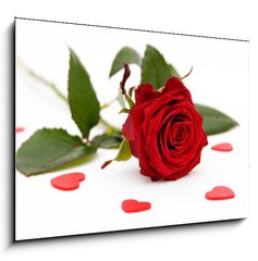 Obraz 1D - 100 x 70 cm F_E2008228 - red rose - erven re