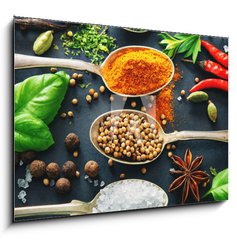 Obraz 1D - 100 x 70 cm F_E201727339 - Various herbs and spices on dark background