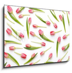 Obraz 1D - 100 x 70 cm F_E205206437 - Pink tulip pattern on the white bacjkground.