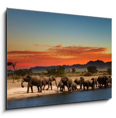 Sklenn obraz 1D - 100 x 70 cm F_E20708665 - Herd of elephants in african savanna