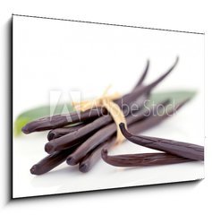 Obraz 1D - 100 x 70 cm F_E21269427 - Vanille fra che - Vanilla fra che