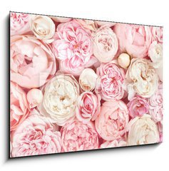 Obraz 1D - 100 x 70 cm F_E215246503 - Summer blossoming delicate rose on blooming flowers festive background, pastel and soft bouquet floral card