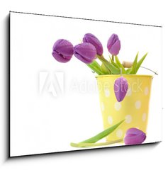 Sklenn obraz 1D - 100 x 70 cm F_E21581456 - Wet Purple Tulips