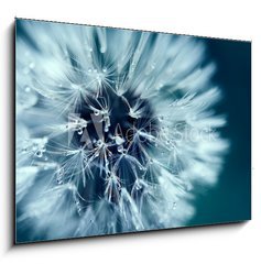 Obraz 1D - 100 x 70 cm F_E218536991 - Macro shot of dandelion with water drops - Makro snmek pampeliky kapkami vody