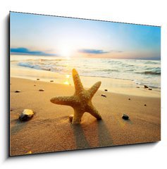 Sklenn obraz 1D - 100 x 70 cm F_E21858060 - Starfish on the beach - Hvzdice na pli