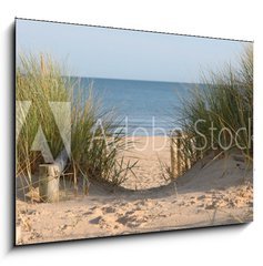 Obraz 1D - 100 x 70 cm F_E21978364 - Beach Path Through Dunes