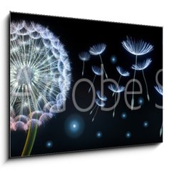 Obraz 1D - 100 x 70 cm F_E220799750 - Pusteblumen und Glhwrmchen