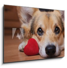 Sklenn obraz 1D - 100 x 70 cm F_E222488187 - A dog with a red heart. Valentine`s Day.