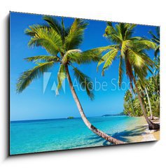 Obraz 1D - 100 x 70 cm F_E22403975 - Tropical beach, Thailand - Tropick ple, Thajsko