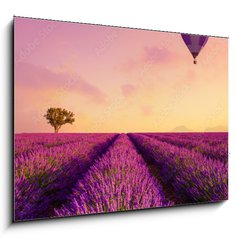 Obraz 1D - 100 x 70 cm F_E226739623 - Lavender field rows at sunrise and hot air baloon France Provence - Levandulov pole ady pi vchodu slunce a horkovzdun baln Francie Provence