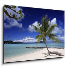 Sklenn obraz 1D - 100 x 70 cm F_E23054977 - lagon et motu de Bora