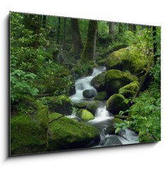 Obraz 1D - 100 x 70 cm F_E23470543 - Mossy waterfall