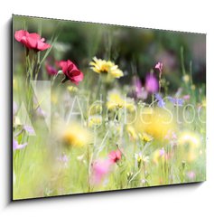 Obraz 1D - 100 x 70 cm F_E236066014 - wildblumenwiese natur banner pastell