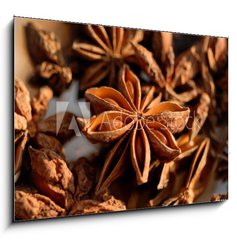 Sklenn obraz 1D - 100 x 70 cm F_E240365713 - Badiane / Anis toil