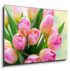 Obraz 1D - 100 x 70 cm F_E241402098 - Spring flowers. Living coral tulip bouquet on the bokeh background.