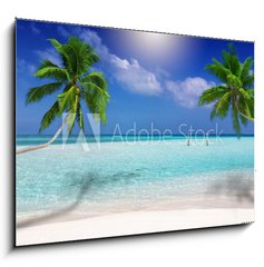 Obraz   Traumstrand in den Tropen mit trkisem Meer, Kokosnusspalmen und feinem Sand, 100 x 70 cm