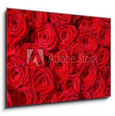 Obraz 1D - 100 x 70 cm F_E24548244 - Rote Rosen, Symbol f r Liebe, Rosenstrau 