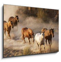 Sklenn obraz 1D - 100 x 70 cm F_E2467066 - wild horses running