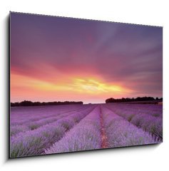 Sklenn obraz 1D - 100 x 70 cm F_E24937736 - Lavender sunset - Levandule zpadu slunce