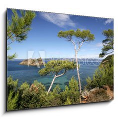 Obraz 1D - 100 x 70 cm F_E24971446 - PINS MARITIMES, PLAGE DE LA PALUD, ROCHER DU RASCAS, PORT-CROS,