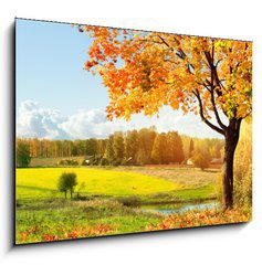 Obraz   Autumn at the morning park, 100 x 70 cm