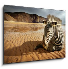 Obraz 1D - 100 x 70 cm F_E25254470 - Beach Zebra - Pl zebra