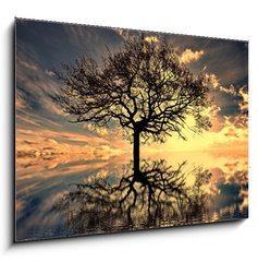 Sklenn obraz 1D - 100 x 70 cm F_E25486634 - mystic moments - mystick okamiky