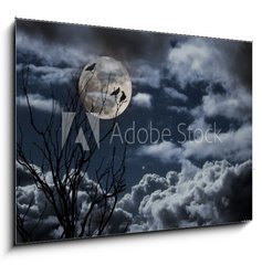 Obraz 1D - 100 x 70 cm F_E26290329 - Full moon