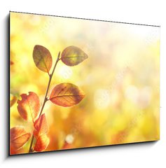 Sklenn obraz 1D - 100 x 70 cm F_E264386223 - Beautiful colorful autumn natural background panorama. Orange autumn foliage on blurred gold background glows in sunlight outdoors in nature. Template with copy space.