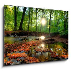 Sklenn obraz 1D - 100 x 70 cm F_E26798105 - Autumn forrest - Podzimn les