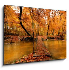 Sklenn obraz 1D - 100 x 70 cm F_E27188223 - Autumn bridge