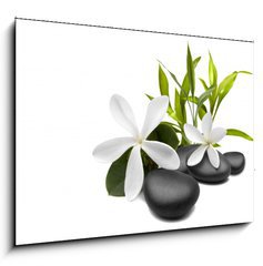Obraz   Spa still life with white flowers, 100 x 70 cm