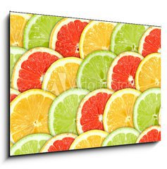 Obraz   Background with citrus fruit slices, 100 x 70 cm