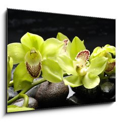 Obraz 1D - 100 x 70 cm F_E28704668 - Wellness concept with zen stone and orchid