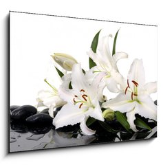Obraz 1D - 100 x 70 cm F_E28705565 - madonna lily and spa stone
