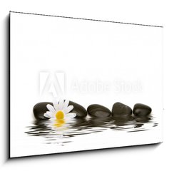 Obraz 1D - 100 x 70 cm F_E2881748 - spa stones and daisy
