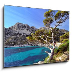 Obraz 1D - 100 x 70 cm F_E28863354 - Pin du littoral dans les calanques de Marseille