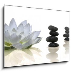Obraz 1D - 100 x 70 cm F_E2900573 - espace zen